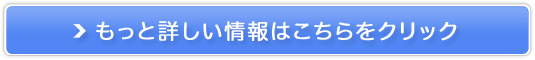 ՃT|[g NrjX^̔TCg
